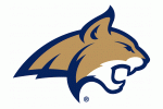 Montana State Logo