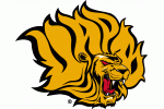 Arkansas-Pine Bluff Logo