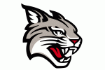 Davidson Logo